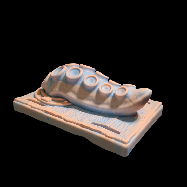 OP34  - Seralene - The Tentacle Queen Grind Pad - Extra Soft Firmness - 2 Colour Highlight