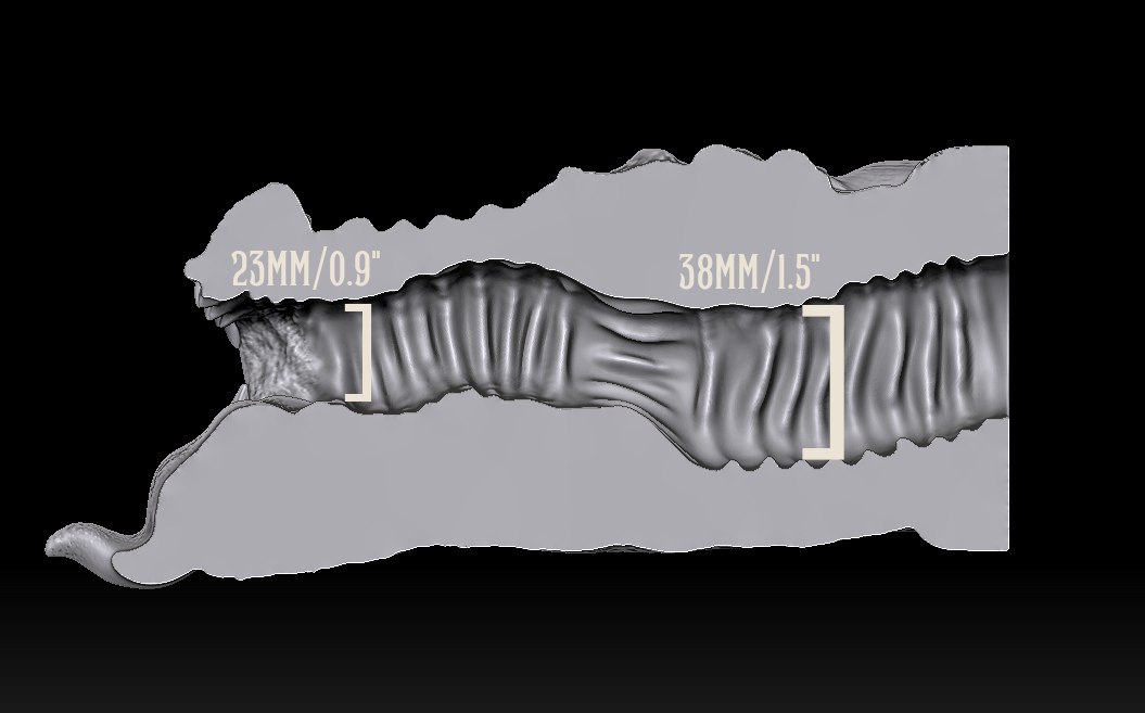 Dragon Head Masturbator Internal Sizes