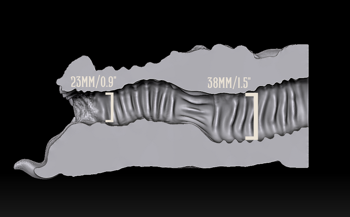 Dragon Head Masturbator Internal Sizes