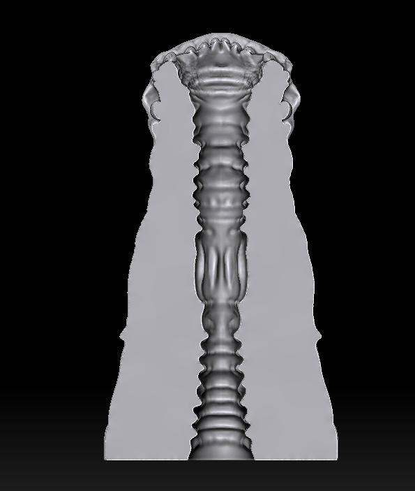 sliced view dragon head masturbator core