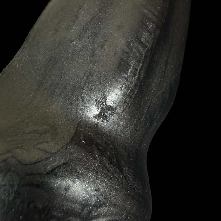 OD234 - Ejaculating Buckland Steed Strap-on Dildo - Size X-Large 16" - Soft Firmness  -  Colour Odyssey Black