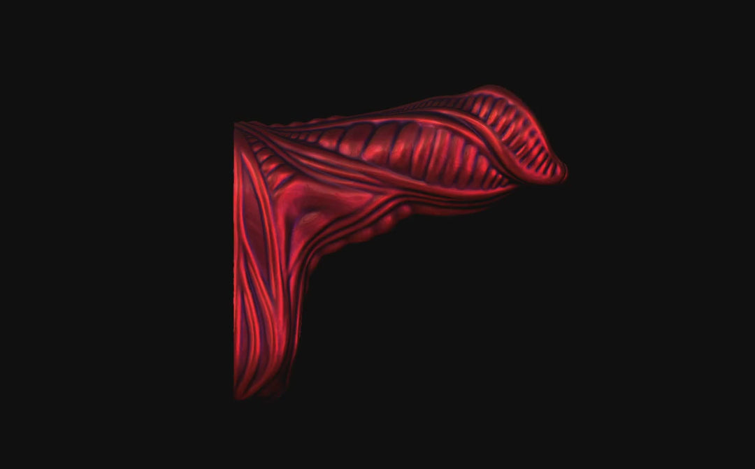 Xan Sheath